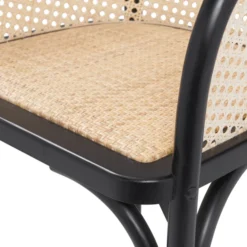 Zaria Arm Chair -Cozy Corner Shop webimage 013130684 5 jpg