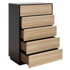 Emani 5 Drawer Chest -Cozy Corner Shop webimage 600735035 2