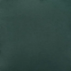 Mae Dining Chair - Set Of 2 -Cozy Corner Shop webimage 603407608 DTL1